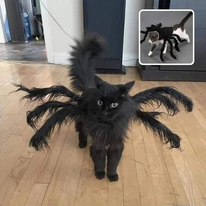 Déguisement pour chat noir à pattes d’araignée duveteuses et capuche.