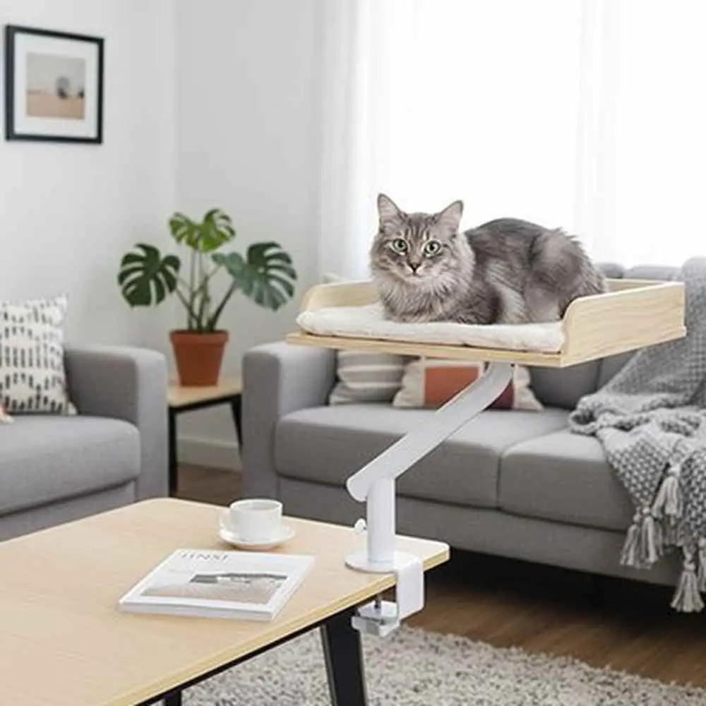 Lit pour chat en bois clair sur pied blanc, coussin clair, vue de côté
