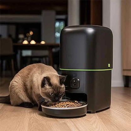 Distributeur automatique de croquettes pour chat noir, chat tigré près du bol