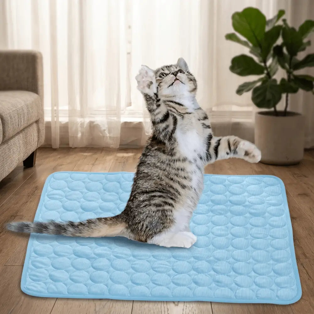 Tapis rafraîchissant pour chat bleu matelassé, chat tigré assis sur la surface