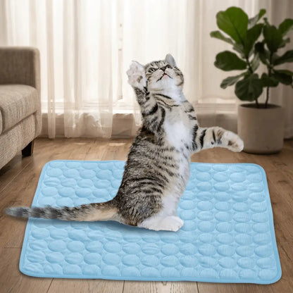 Tapis rafraîchissant pour chat bleu matelassé, chat tigré assis sur la surface