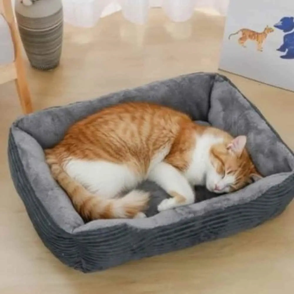 Panier pour chat Douillet gris avec chat roux allongé sur le coussin gris.