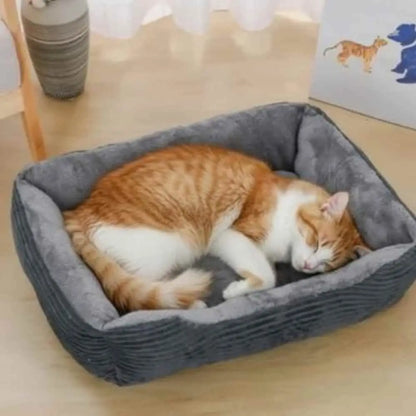 Panier pour chat Douillet gris avec chat roux allongé sur le coussin gris.