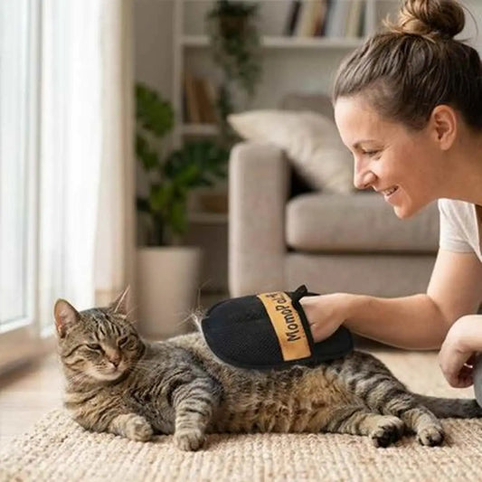 Gant de toilettage noir à poignée, main tenant le gant pour brosser un chat.