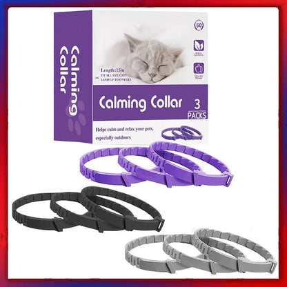 Lot de 3 colliers anti-stress pour chat : violet, noir et gris, présentés en boîte.