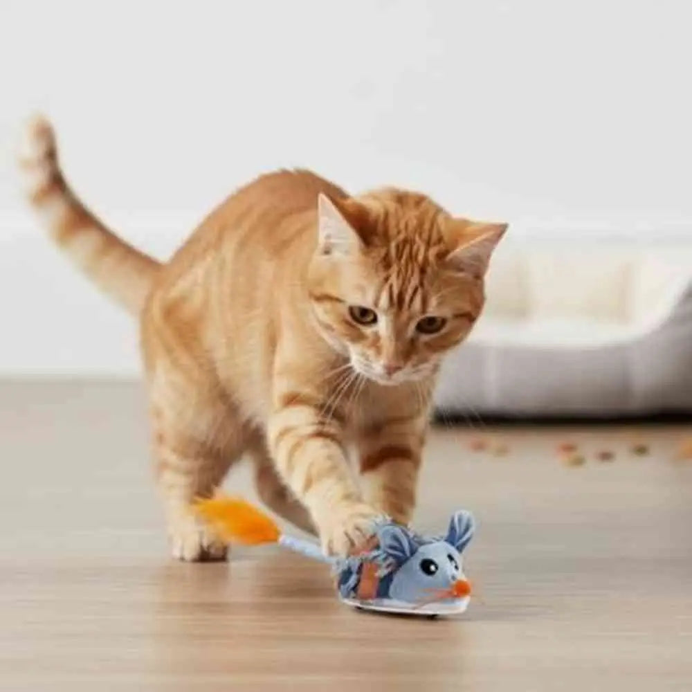 Jouet interactif pour chat PurrPerfect : souris bleue à pompon orange, jouée par un chat