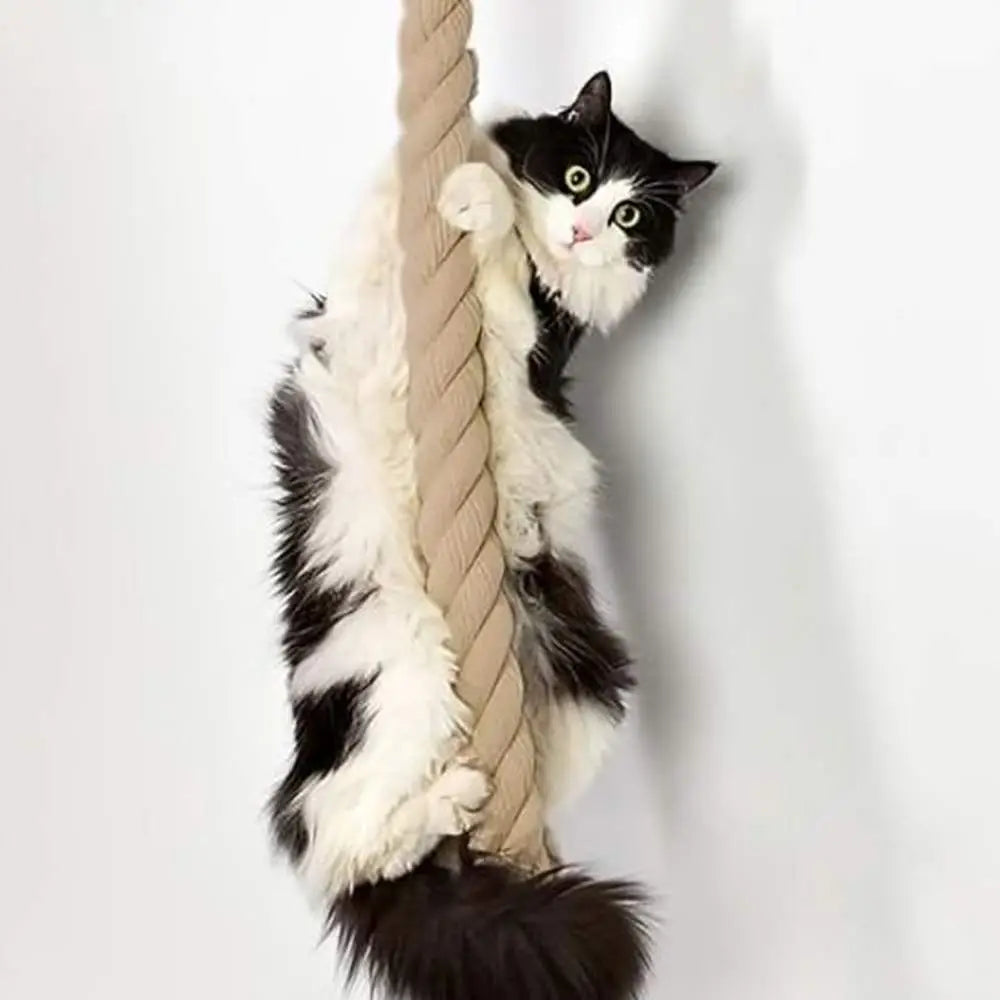 Griffoir mural en bois, poteau torsadé beige et plateforme pour chat