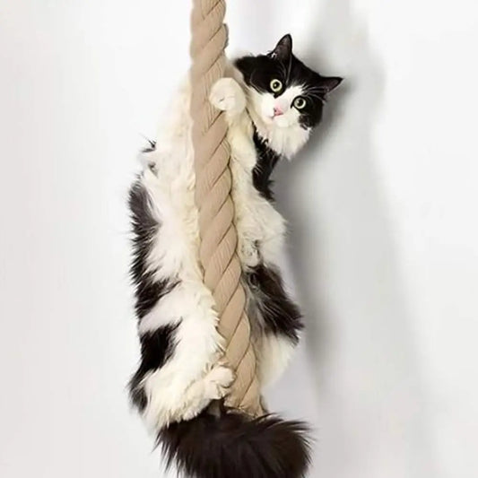 Griffoir mural en bois, poteau torsadé beige et plateforme pour chat