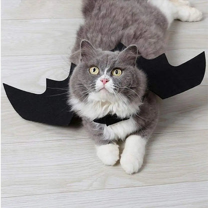 Déguisement de chat StarCostume noir à cornes et ailes en forme de battes