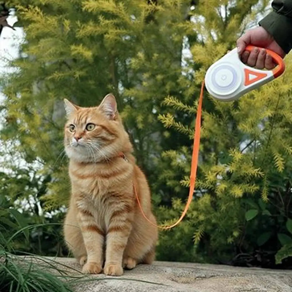 Laisse rétractable pour chat orange, poignée blanche et corde, près d’un chat.