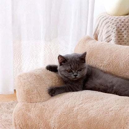 Panier pour chat en peluche beige, rebords rembourrés, chat gris regardant.