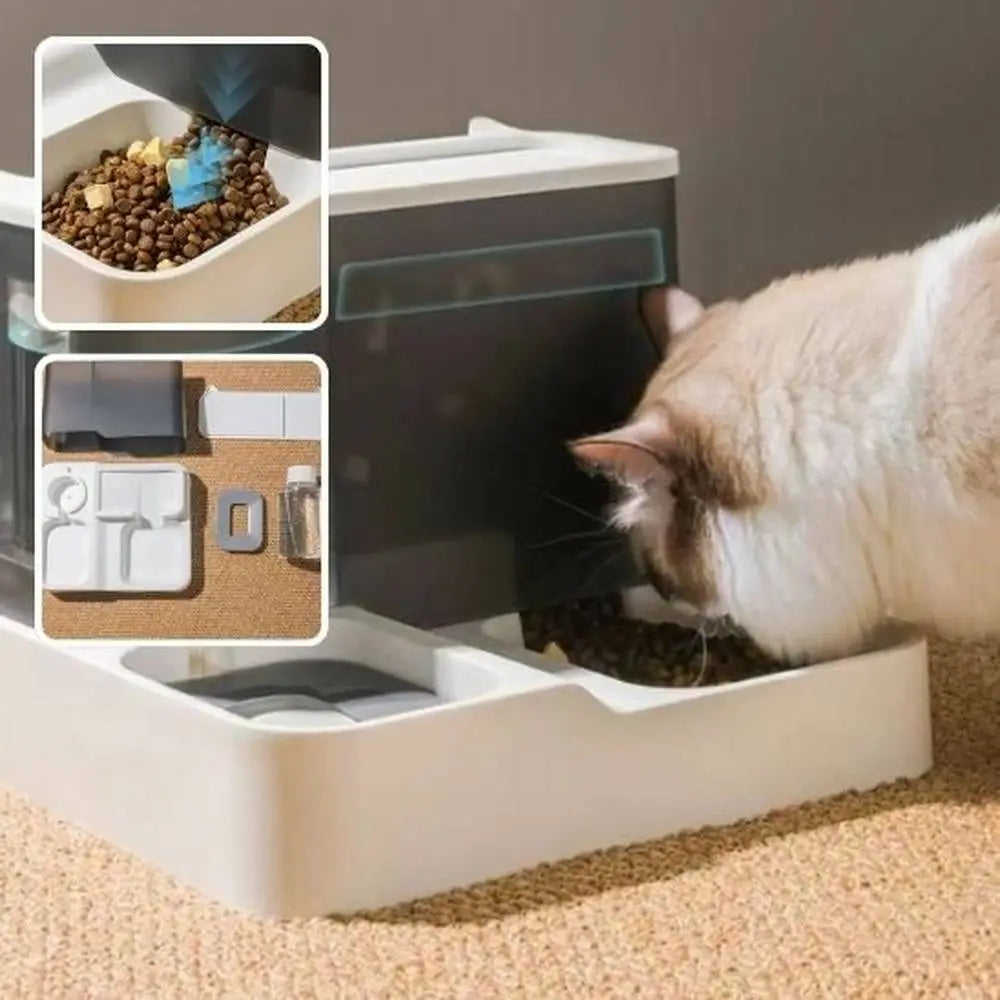 Distributeur de croquettes pour chat blanc, croquettes au bol, chat utilisant l’ouverture.