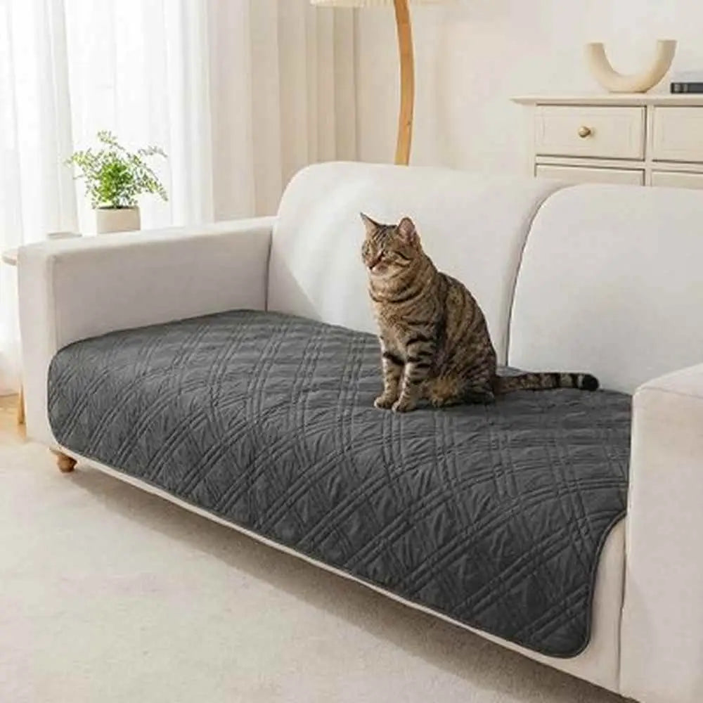 Couvre-canapé pour chat, matelassé gris foncé, bord arrondi, posé sur l’assise