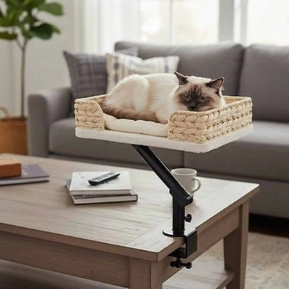 Panier pour chat tressé beige avec coussin clair, chat reposant
