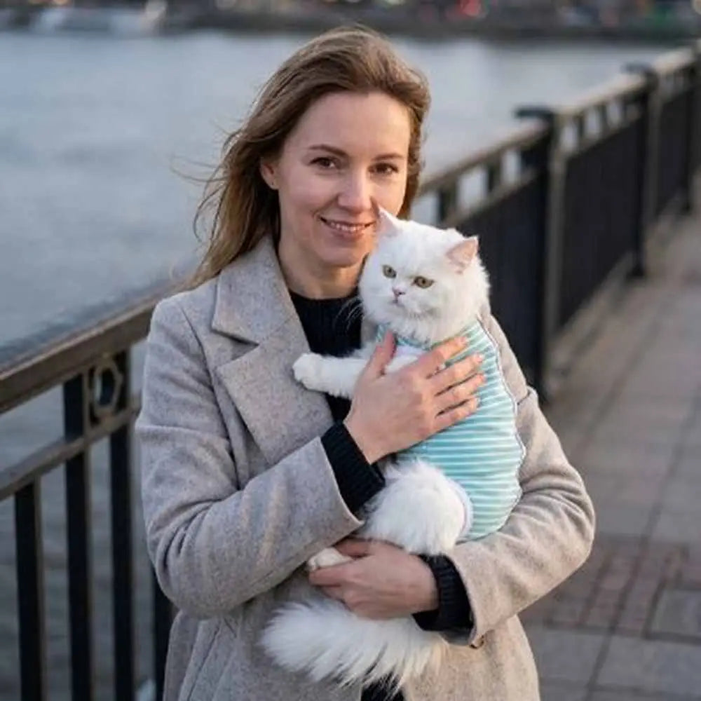 Body post-opératoire pour chat à rayures vert d’eau, sans manches, ouvertures pour pattes