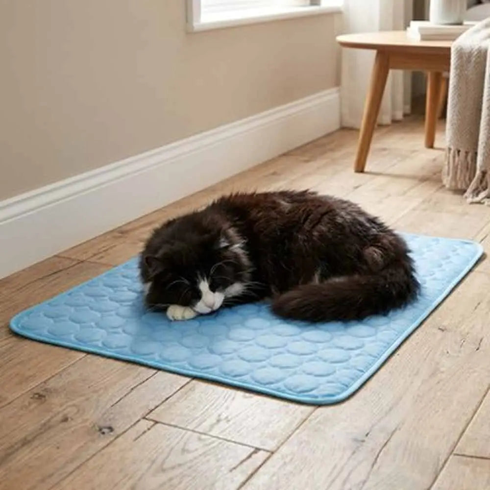 Tapis rafraîchissant pour chat bleu à motif relief, avec un chat noir et blanc couché.