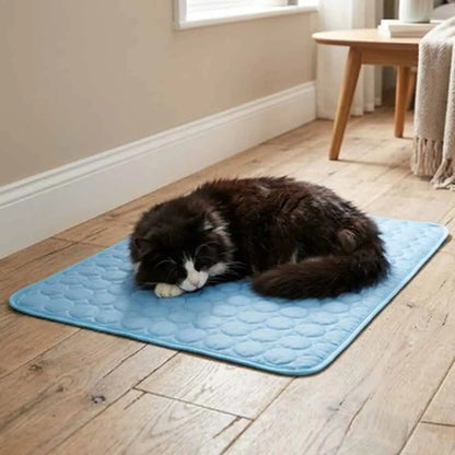 Tapis rafraîchissant pour chat bleu à motif relief, avec un chat noir et blanc couché.