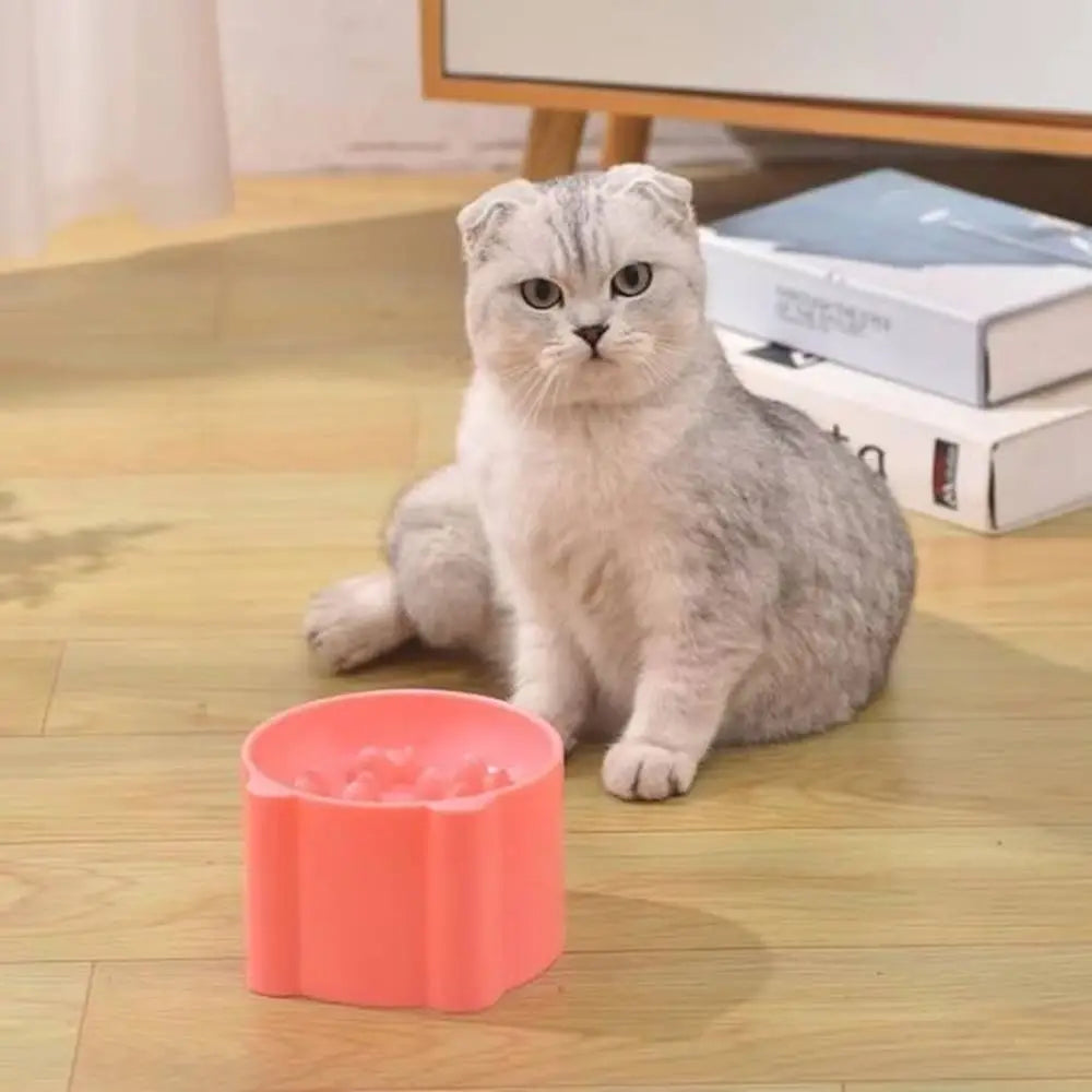 Gamelle anti-glouton pour chat rose, bol à rebords, chat mange