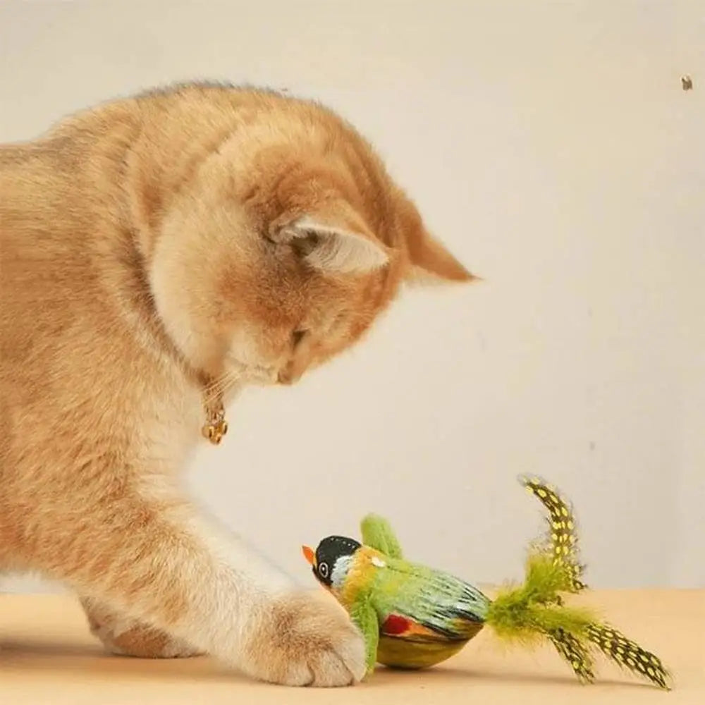 Jouet pour chat oiseau en peluche vert, ailes multicolores et plumes.
