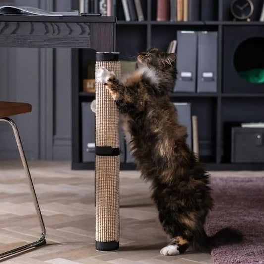 Griffoir pour chat sur poteau en sisal beige, embouts noirs, chat tigré