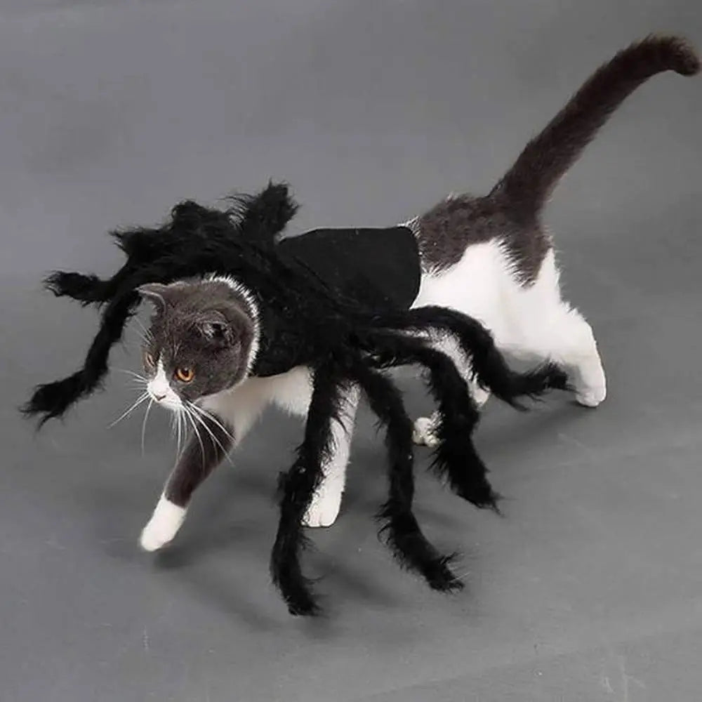 Déguisement pour chat noir et blanc à pattes d’araignée noires en tissu.