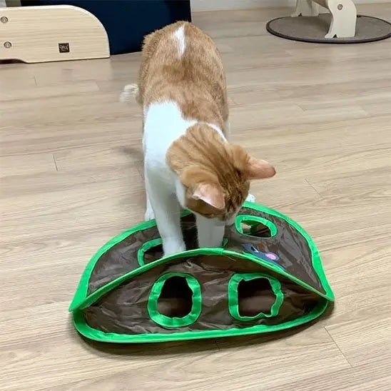 Tente de jeu pour chat brune bord vert sur le sol, avec ouvertures pour pattes