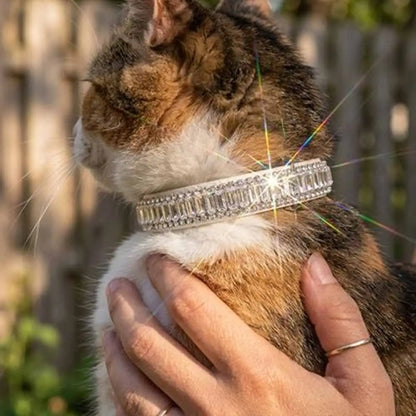 Collier chat à strass, rangées brillantes sur le tour du cou avec fermoir.