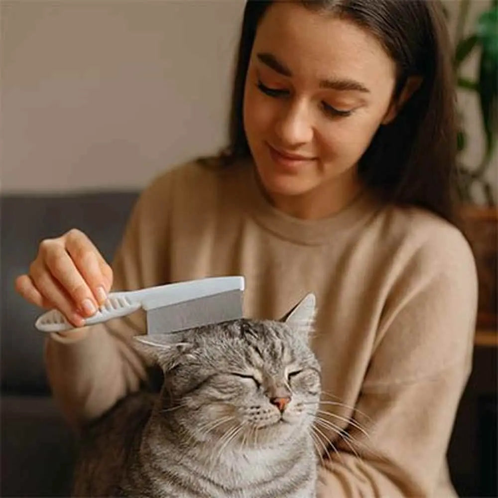 Peigne à chat anti-nœuds blanc, coiffage du pelage gris du chat