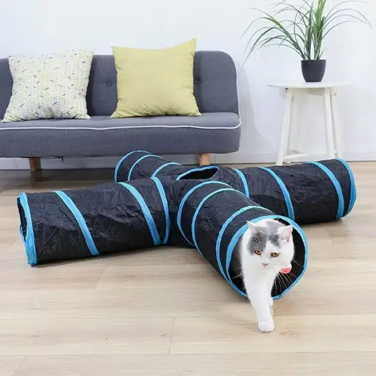 Tunnel pour chat noir à rayures bleu, deux ouvertures, chat blanc et gris