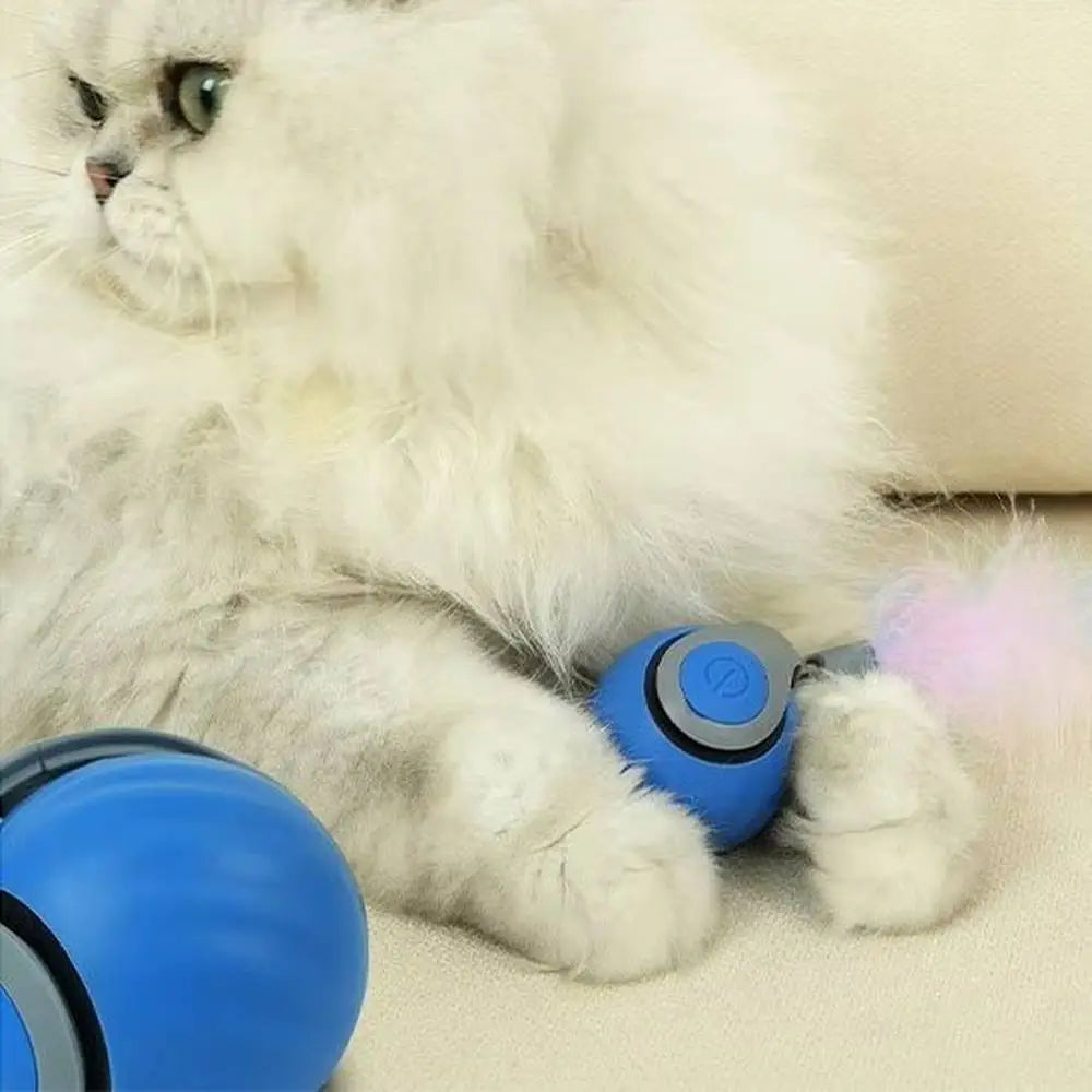 Jouet interactif pour chat, balle bleue près des pattes du chat
