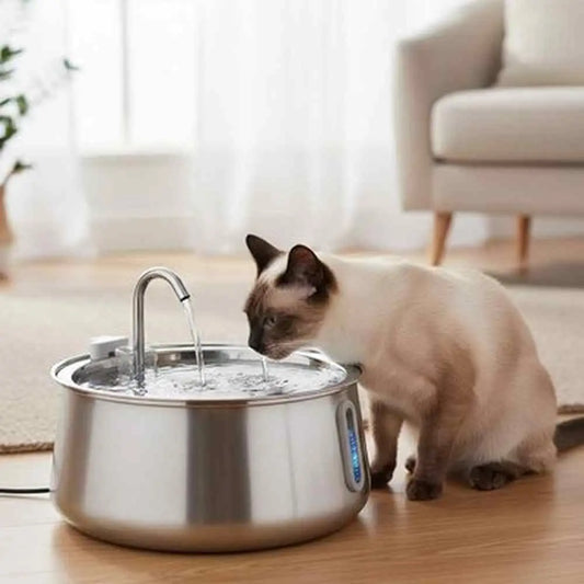 Fontaine à eau pour chat en inox avec jet vertical et grande cuvette métallique