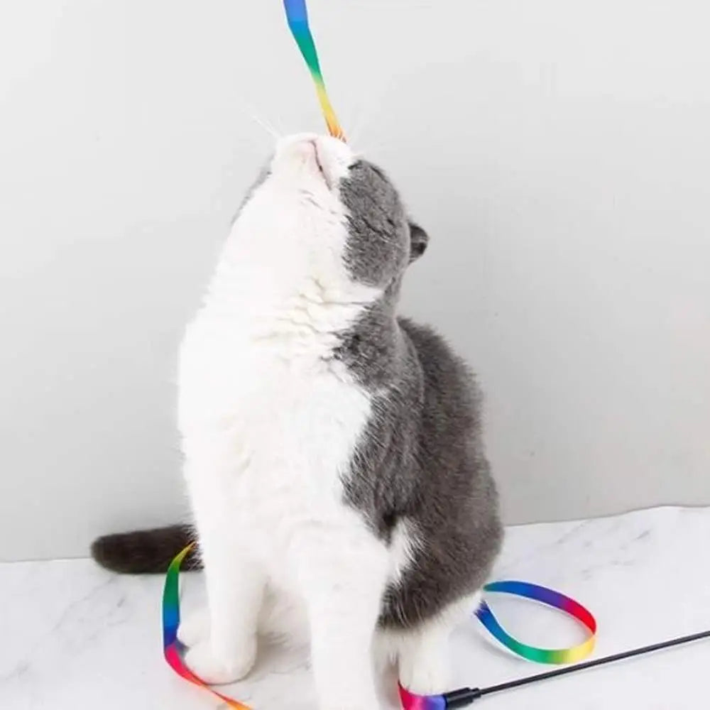 Baguette de jeu pour chat avec ruban multicolore, chat blanc et gris