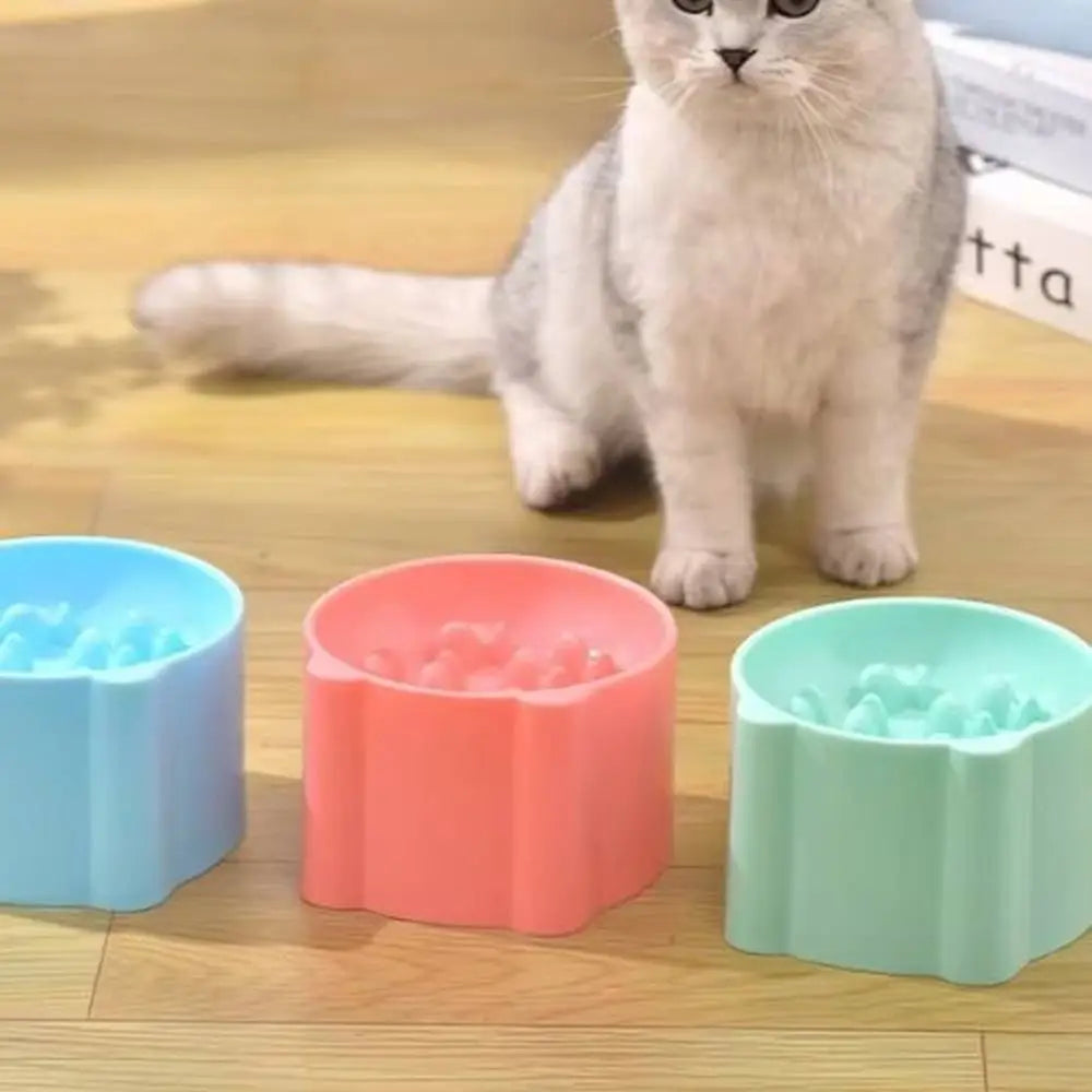 Gamelle anti-glouton pour chat en plastique, roses, bleue et verte, bols ronds