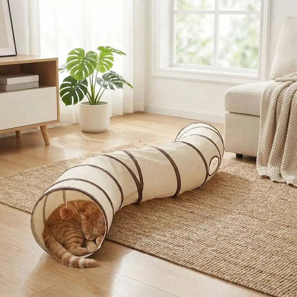 Tunnel pour chat crème rayé marron, chat roux installé près de l’entrée.