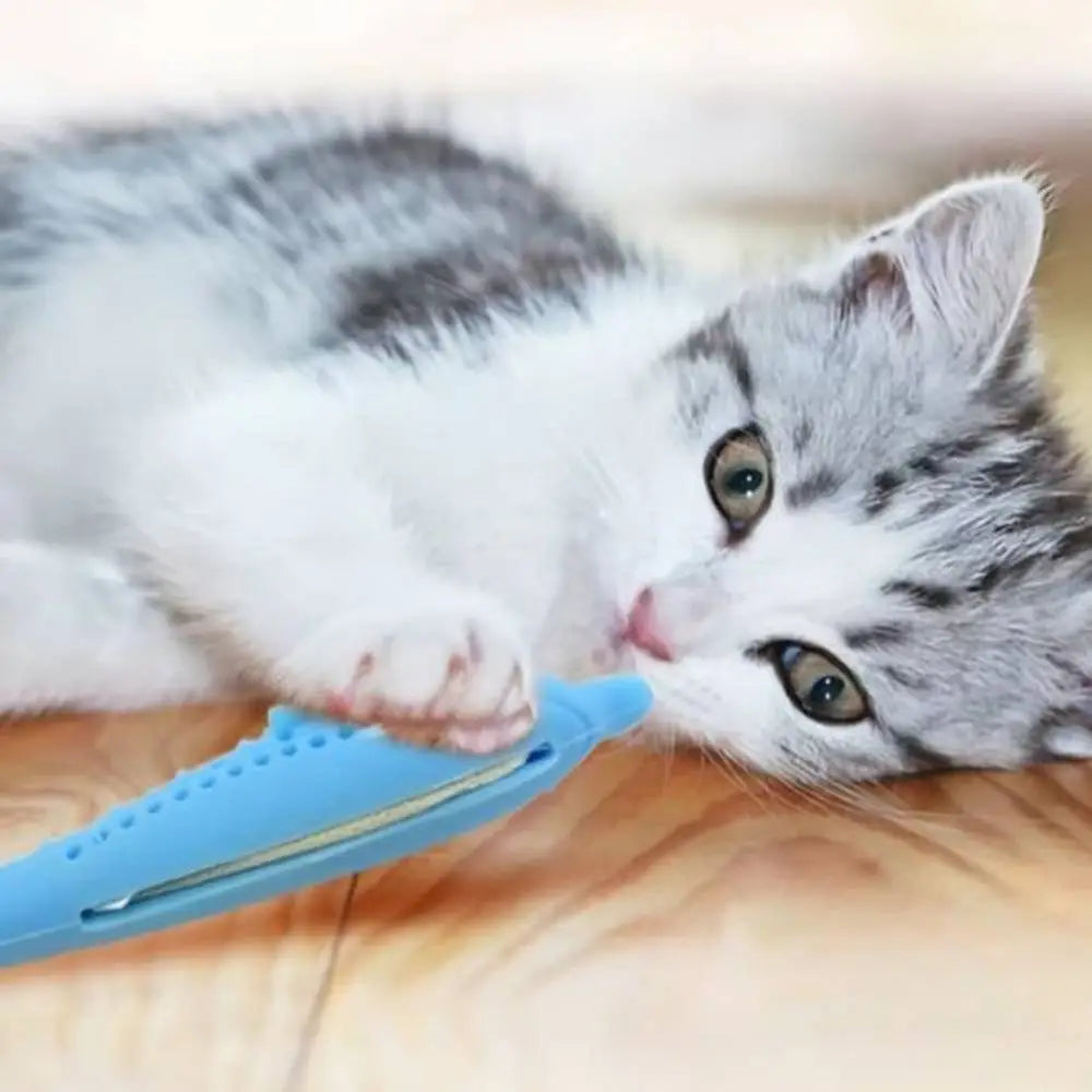 Jouet pour chat Instinct+ : poisson bleu en plastique, long et perforé