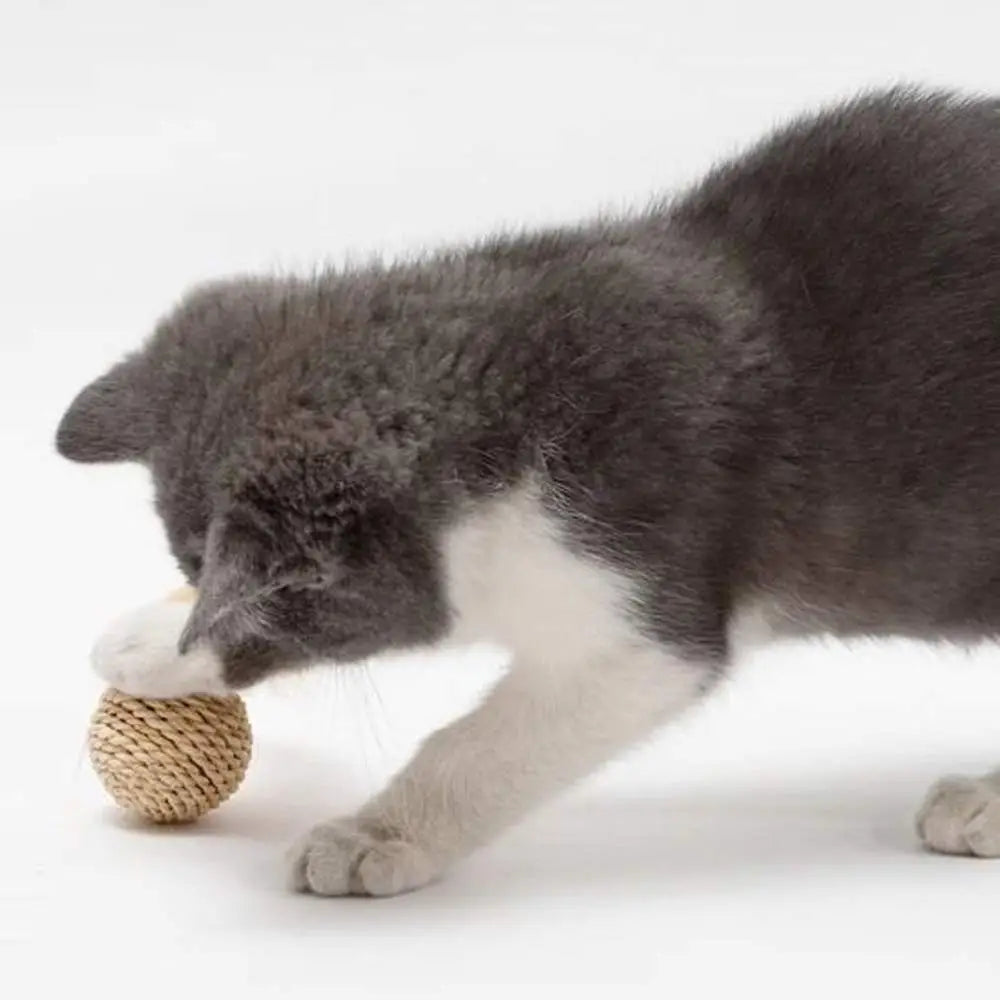 Jouet pour chat avec balle en corde tressée beige, pour la chasse et le jeu.
