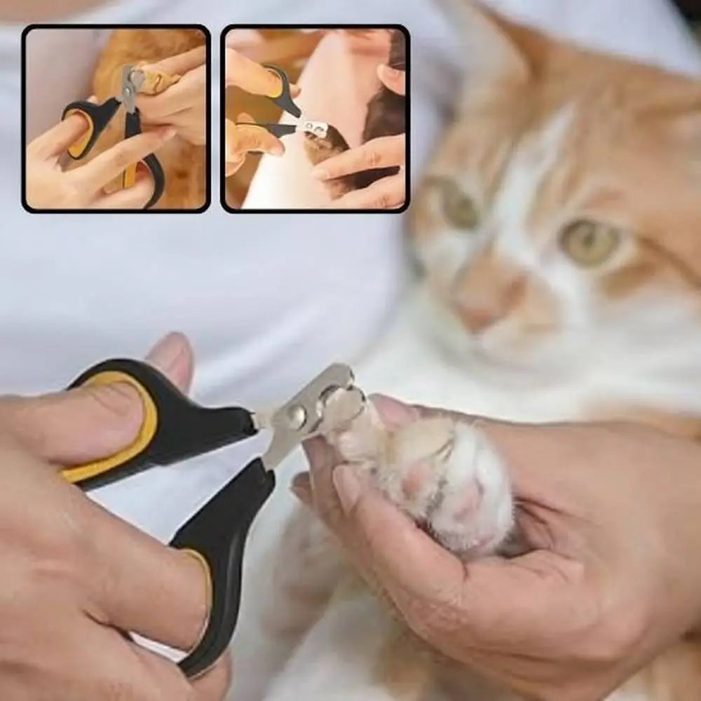 Coupe-griffes pour chat noir et jaune, en main pendant la coupe des griffes