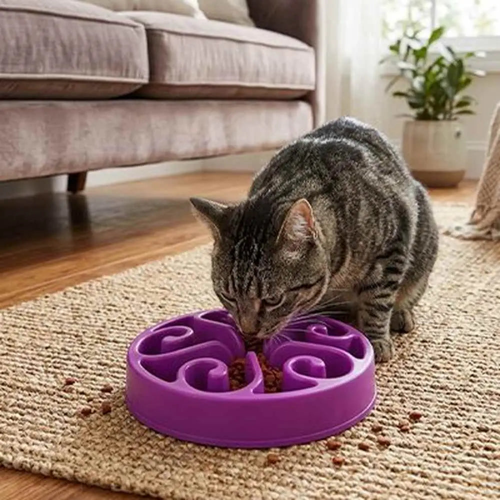 Gamelle anti-glouton pour chat violette à compartiments en spirale