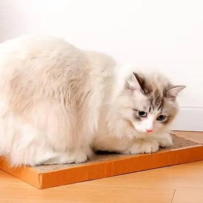 Griffoir pour chat rectangulaire en carton beige, chat blanc allongé sur le tapis texturé