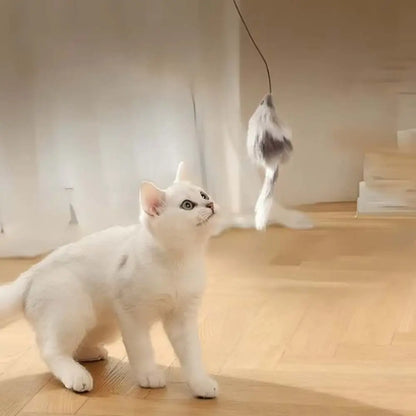 Balle motorisée intelligente pour chat, cordon avec accessoire en l’air, chat blanc
