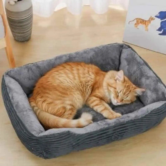 Panier pour chat Douillet gris avec coussin gris et chat roux endormi.