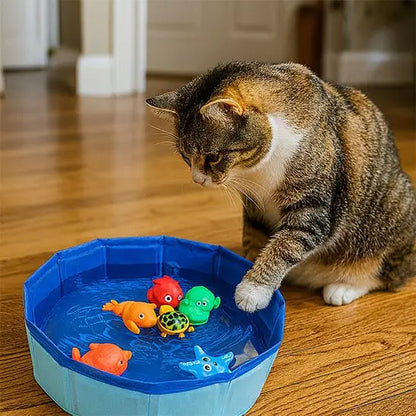 Piscine pour chat interactive bleue avec poissons colorés et chat tigré près du bord