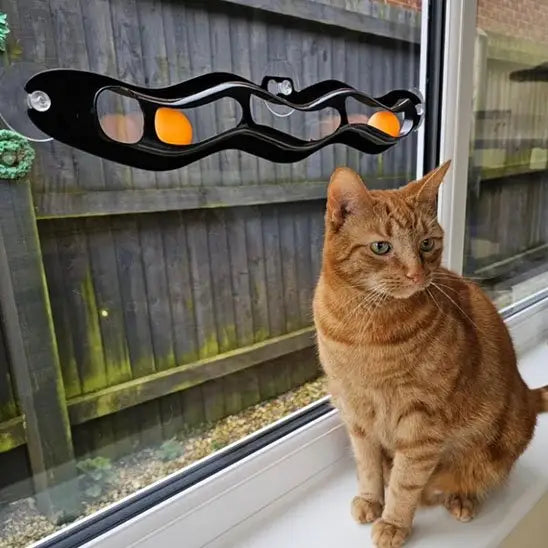 Jouet interactif pour chat à ventouses, barre noire ondulée orange et bleue au-dessus d’un chat roux