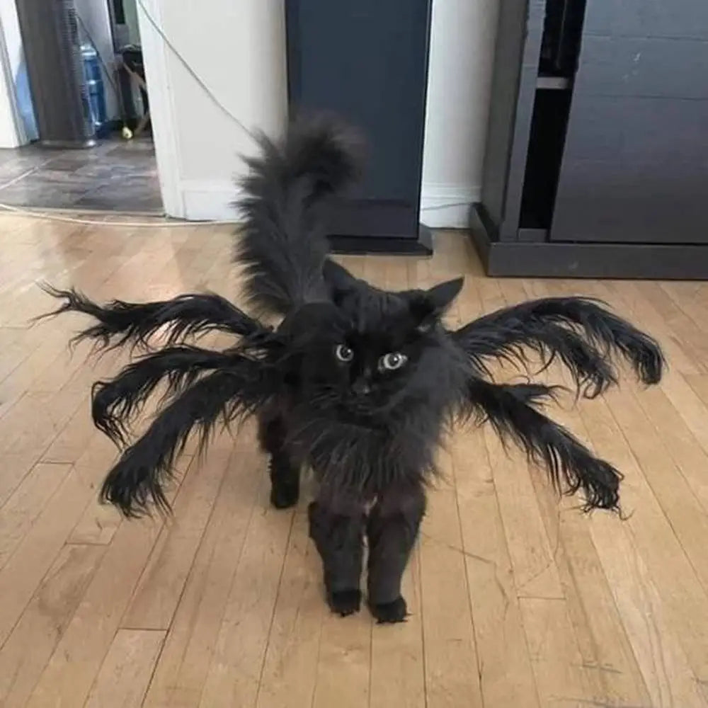Déguisement pour chat noir à pattes d’araignée duveteuses, capuche assortie.