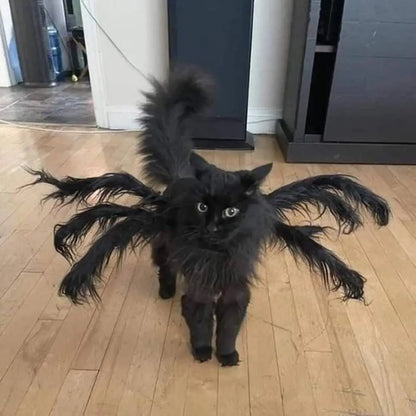 Déguisement pour chat noir à pattes d’araignée duveteuses, capuche assortie.
