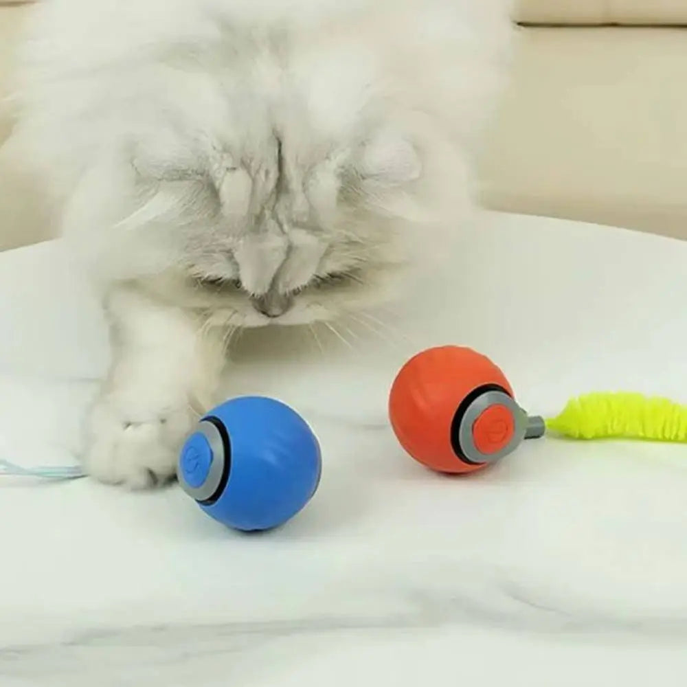 Jouet interactif pour chat: balle bleue et balle orange avec brosse verte