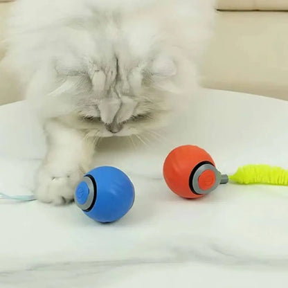 Jouet interactif pour chat: balle bleue et balle orange avec brosse verte