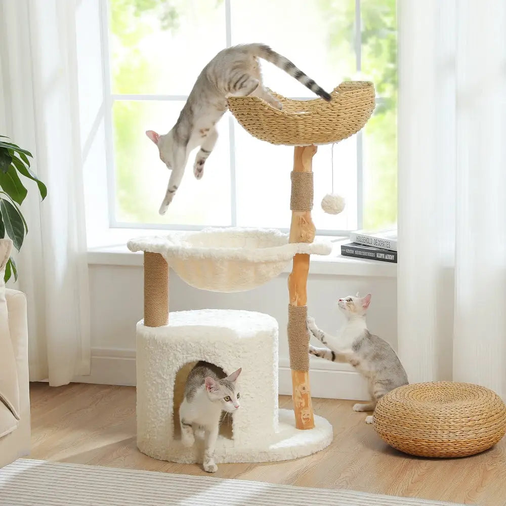 Arbre à chat : perchoir en corde tressée, hamac, cabane et poteaux en bois sisal.