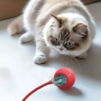 Balle interactive rouge avec insert transparent et cordelette