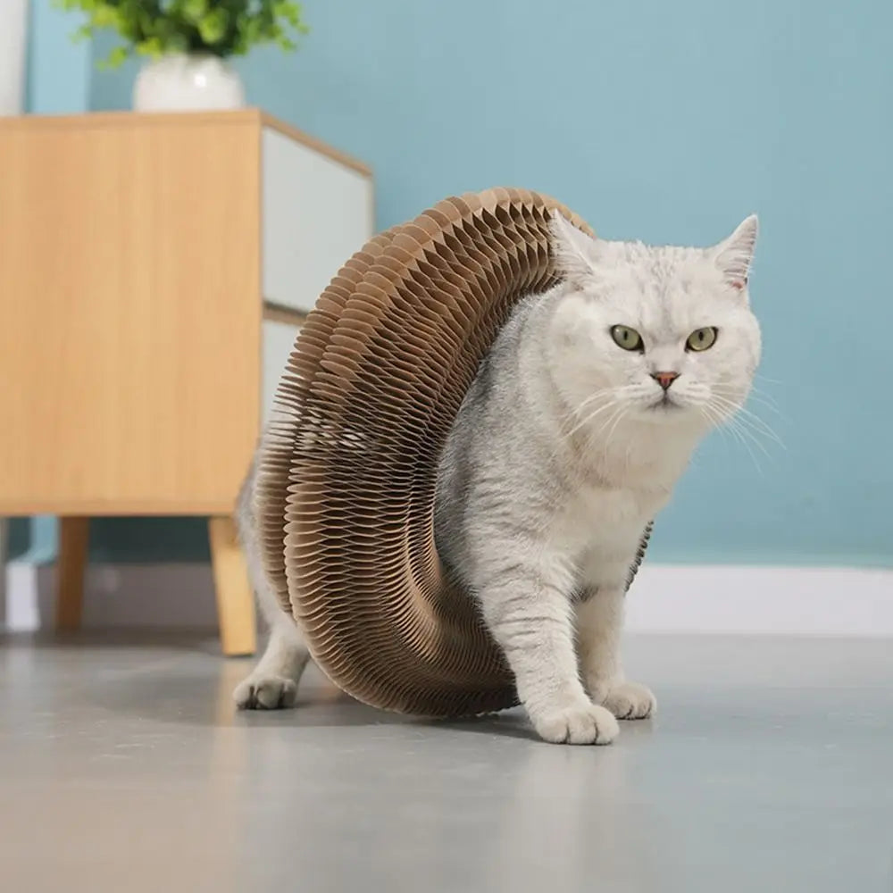 Jouet pour chat en carton ondulé brun, griffoir courbé en demi-lune